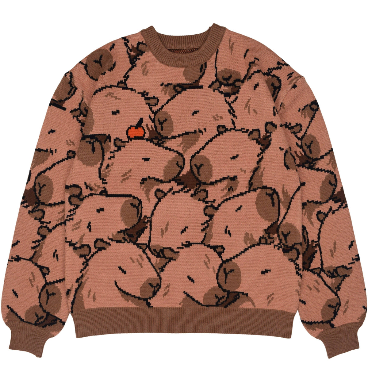 Capybara with Me Sweater