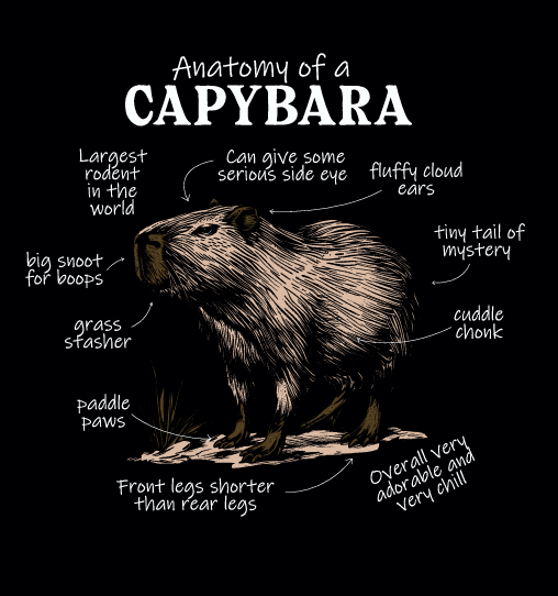 Men’s Capybara Café Black Tee – Soft Knit Shirt Featuring Capy Café Logo